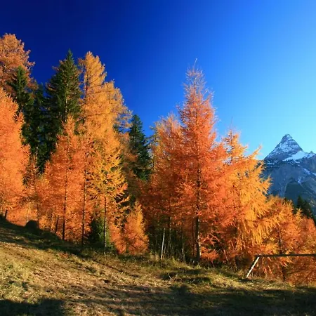 Lägenhet 4 Jahreszeiten